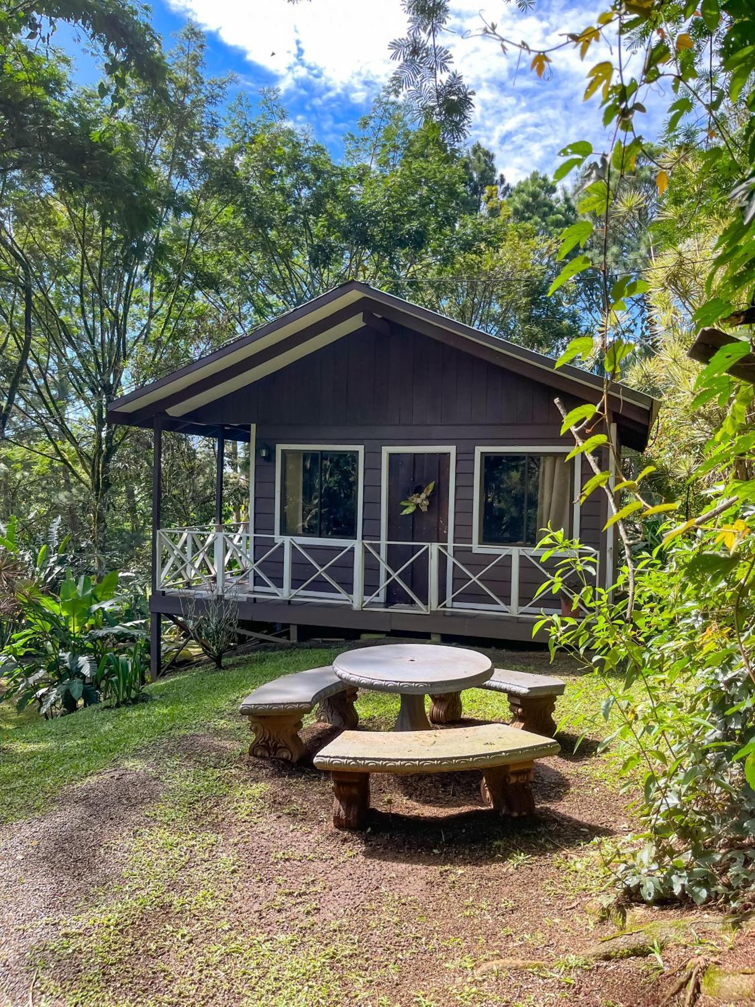 Hospedaje La Naciente Turrialba Exterior photo