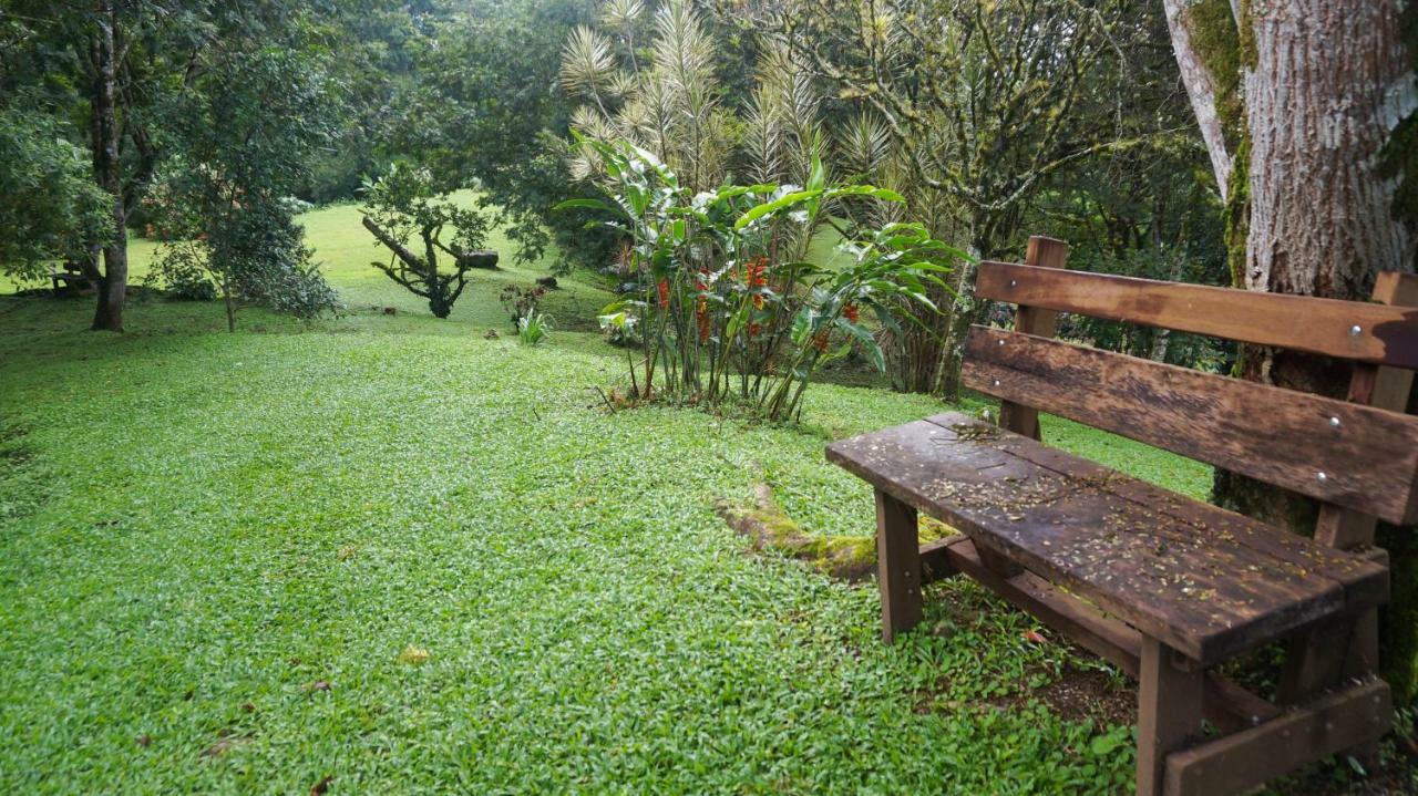 Hospedaje La Naciente Turrialba Exterior photo